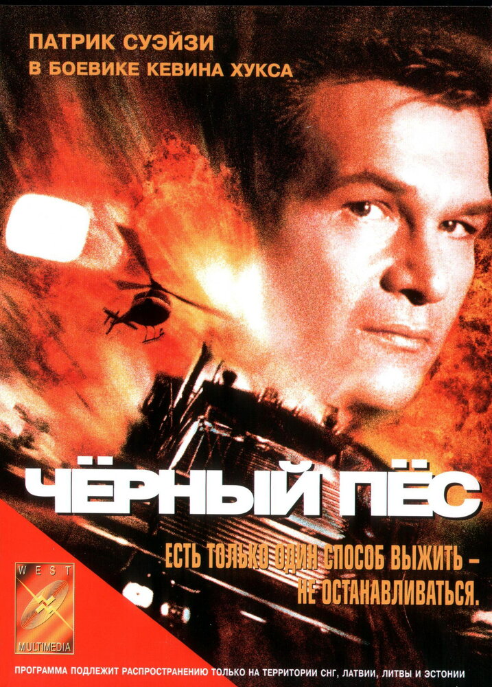 Черный пес (1998) постер