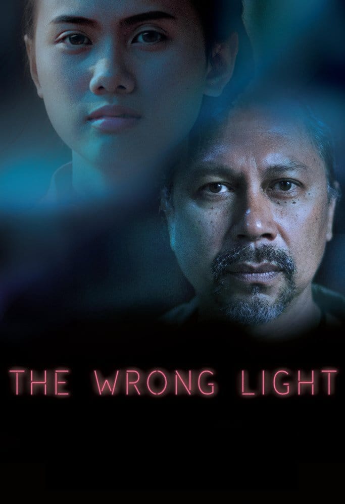 The Wrong Light (2016) постер