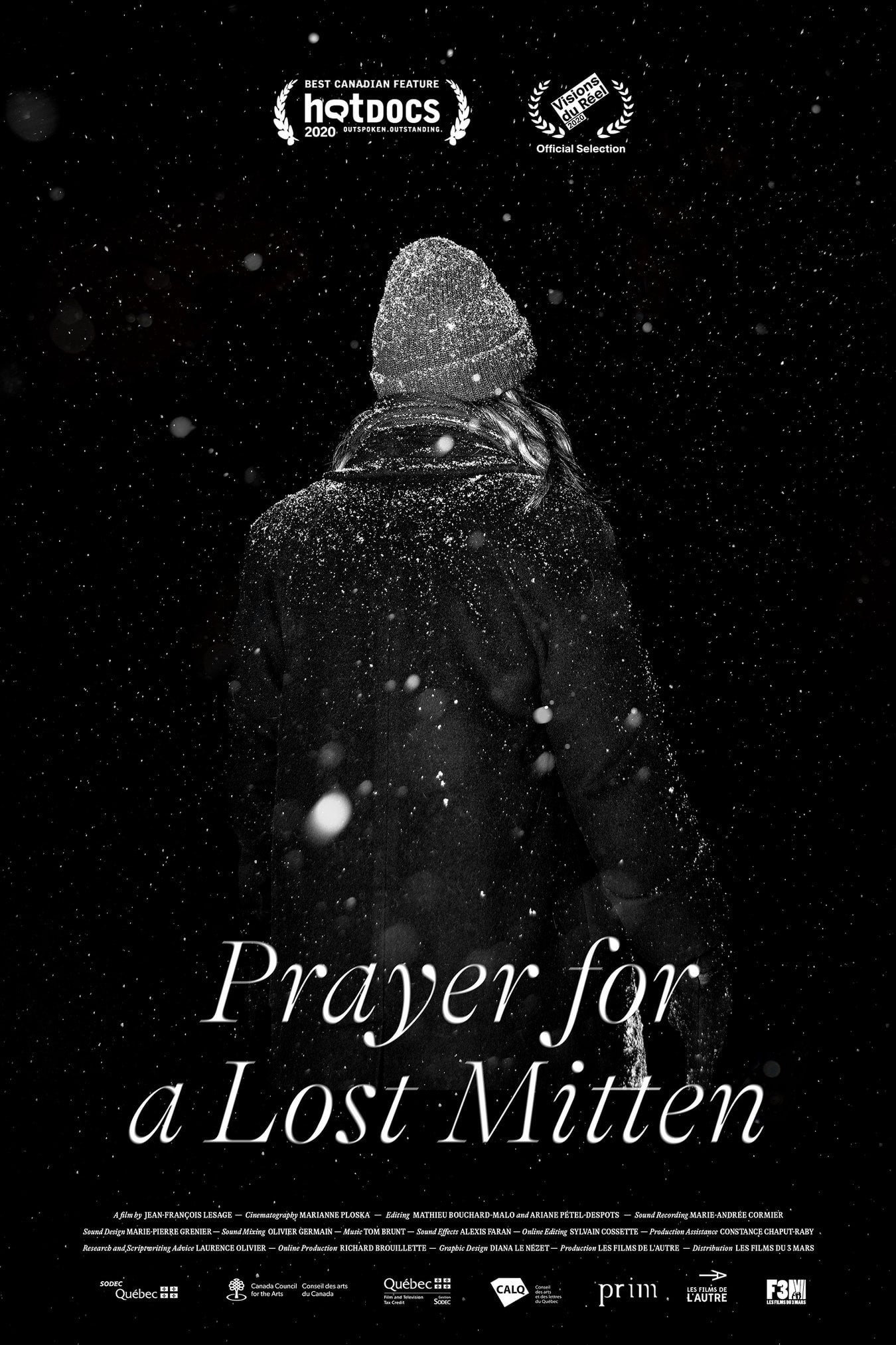 Prayer for a Lost Mitten (2020) постер