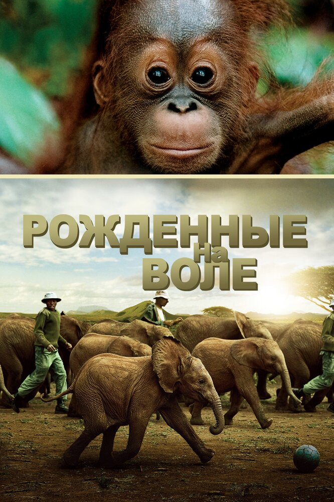 Рожденные на воле (2011) постер