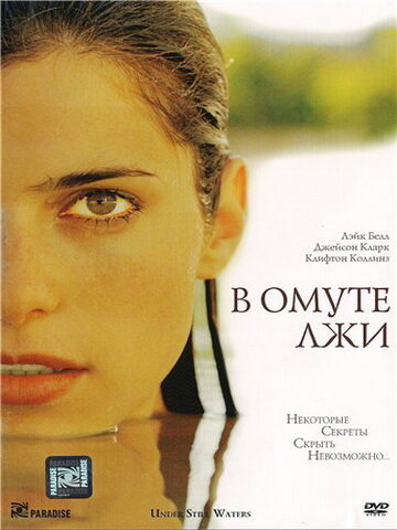 В омуте лжи (2008)